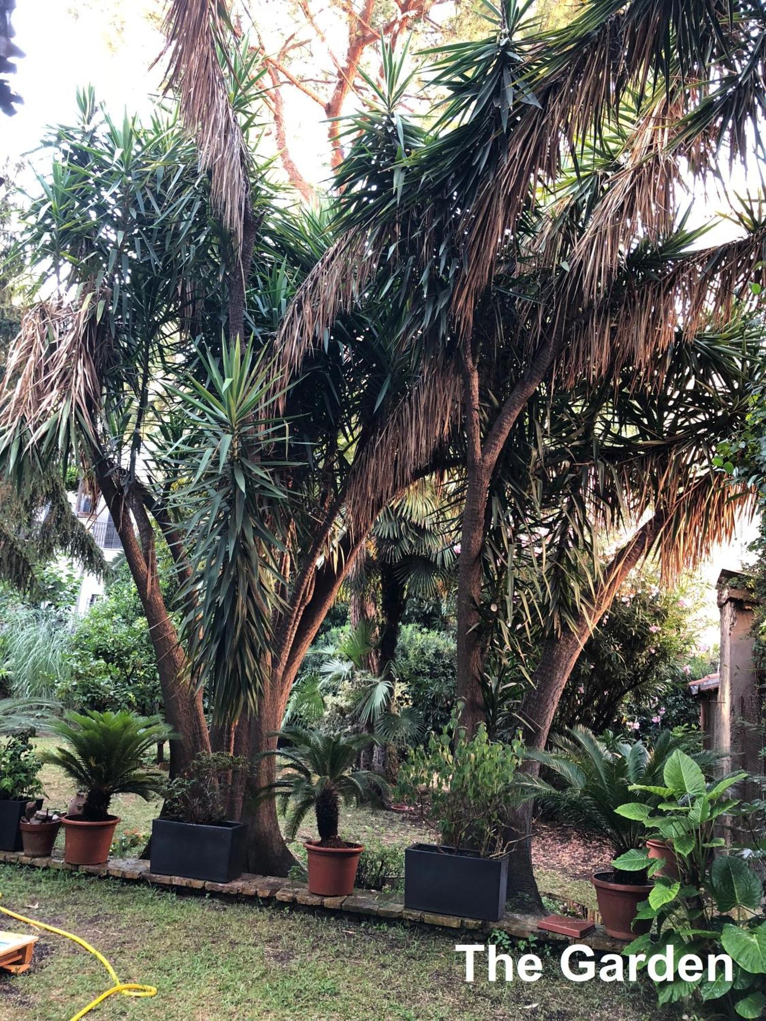 Le Tre M - Guesthouse روما المظهر الخارجي الصورة
